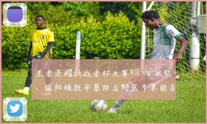 王者荣耀挑战者杯决赛WB vs 狼队,暖阳镜胜率暴跌后野区节奏能否压制小胖